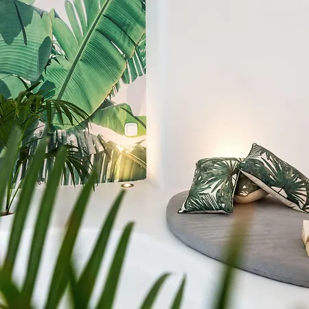 Hotel Lilly Residence-all Sea View Suites, Adults Only Nausa