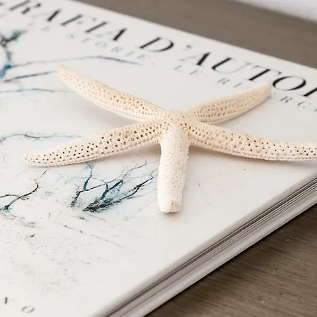 Hotel Lilly Residence-all Sea View Suites, Adults Only Nausa